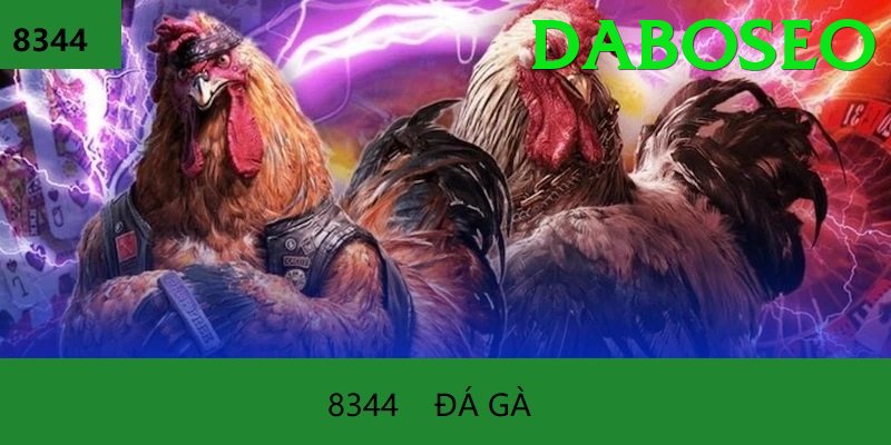 Đá Gà Trực Tiếp - daboseo - Closed Beta
